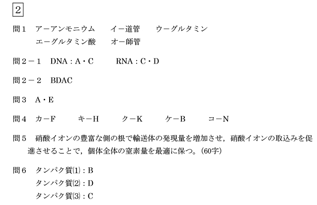 問題 アミラーゼ